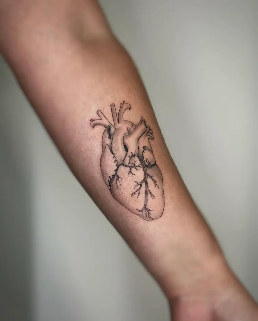 Fine-line anatomical heart tattoo on a forearm
